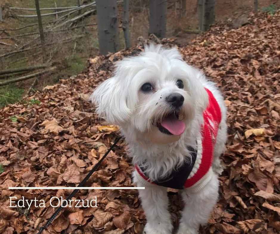 W OBIEKTYWIE RODZICA  Fot. Pani Edyta Obrzud #zostanwdomu